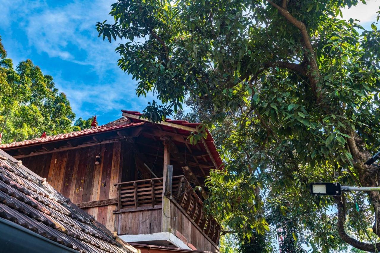 Castillo De Woods , The Private Luxury Villa , 8 Bhk, Vattavada Kottakamboor Bagian luar foto